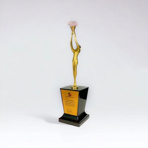 Wood & Metal Trophy WM 9140